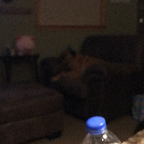 Meet your Posher, Diana - Picture 1 of 1